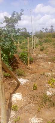Chumani Serviced Plots in Kilifi County image 1