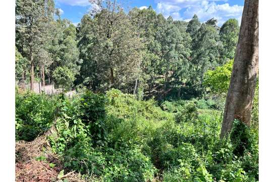 Residential Land in Kitisuru image 6