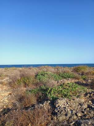 1 ac land for sale in Malindi image 3