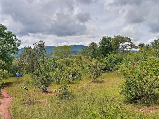Prime Fertile Land in Ithanga, Murang'a, Near Kakuzi image 3