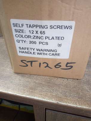 Stainless Steel Self Tapping Screws image 2