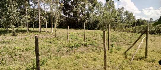 Prime Land in Kahara/Matasia image 2