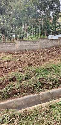 0.125 ac Land in Ruaka image 2