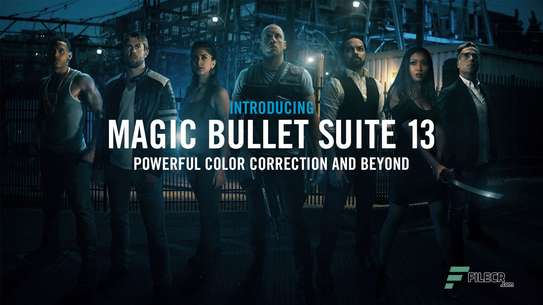 Red Giant Magic Bullet Suite image 1