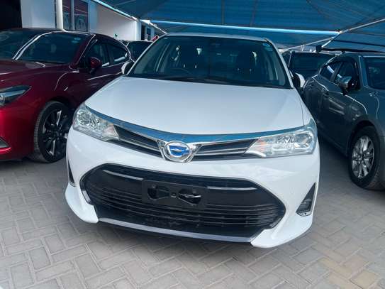 TOYOTA AXIO NEW SHAPE image 9
