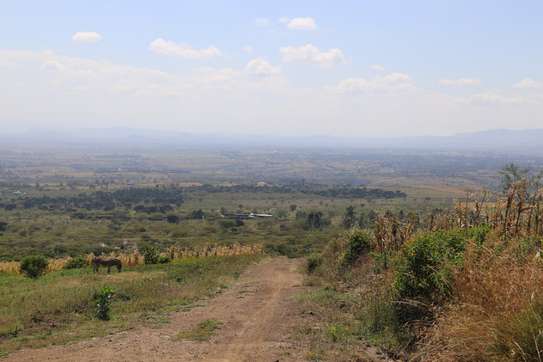 50*100 Land For Sale In Nakuru image 6