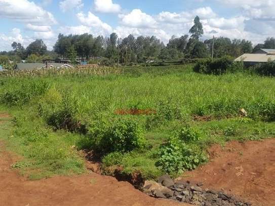 1,000 m² Land in Kikuyu Town image 6