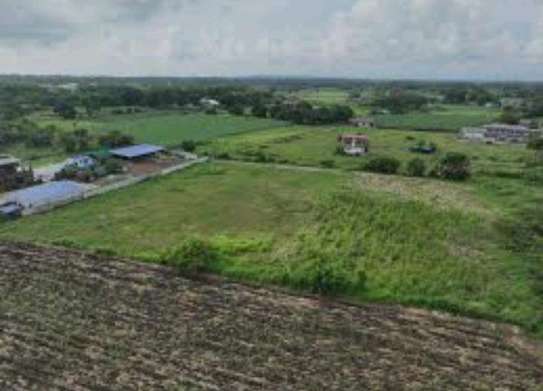Plot for sale in juja image 1
