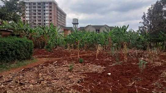 50 by 100 plot for sale in Ruaka image 3