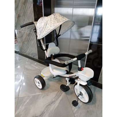 Generic Push Tricycle With Canopy Protective Bar image 3