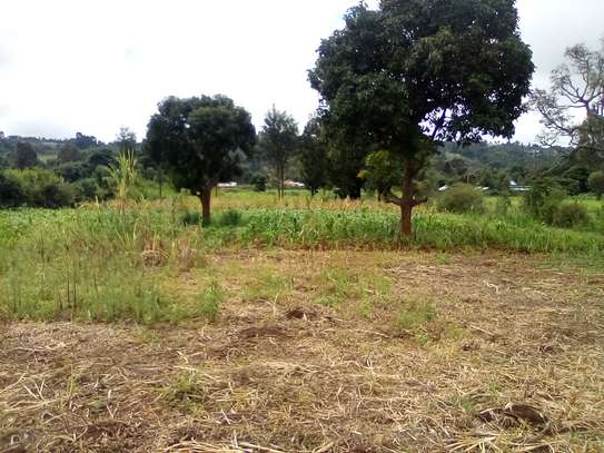 Land at Limuru image 1