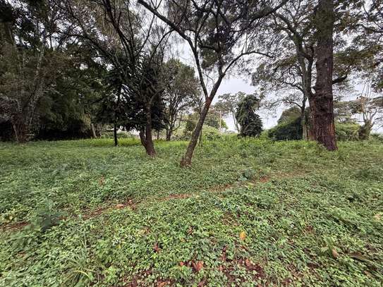 5 ac Land in Kitisuru image 4