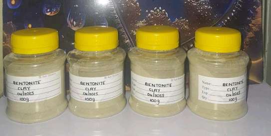 Bentonite Clay image 1