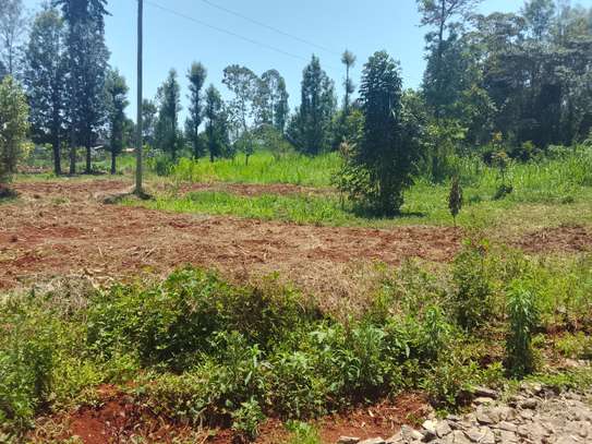 PRIME 1/4 ACRE PLOT FOR SALE- SALAMA GARDENS, GITERO-NYERI! image 3