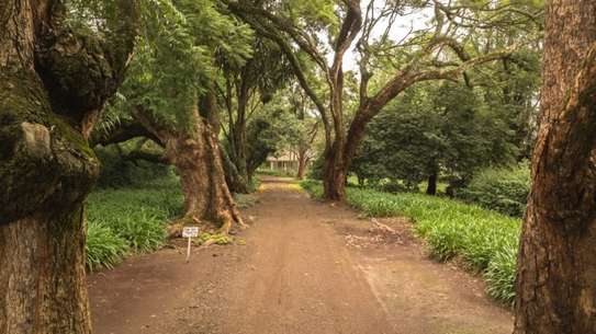 Land at Juja - Gatundu Road image 29