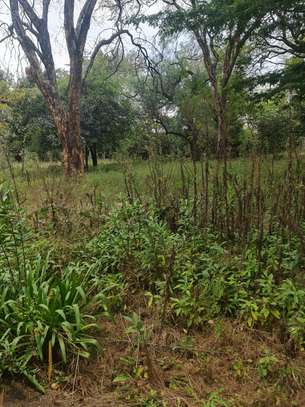 4 ac land for sale in Kilimani image 6