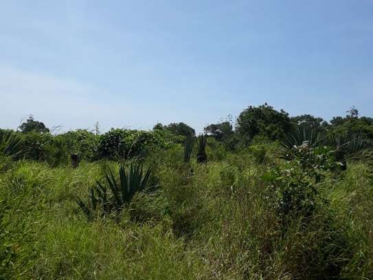 1,012 m² Residential Land in Vipingo image 5