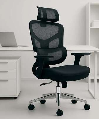 Office Chair: Orthopedic Adjustable Office Seat image 1