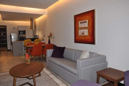 Furnished 1 Bed Apartment with Swimming Pool at P.o Box image 7