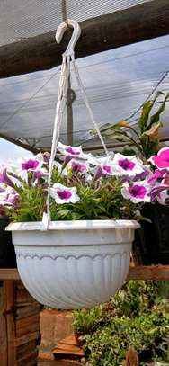 Faith's-Line Landscapers image 2