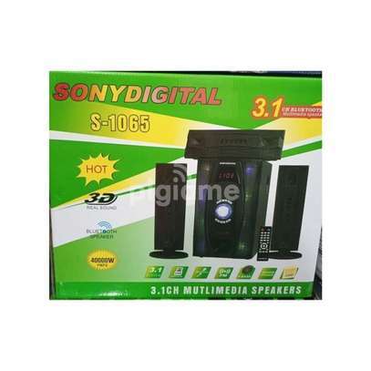 3.1 Sony Digital 1065 Woofer image 1