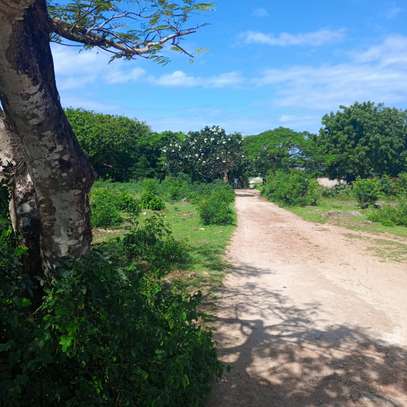 Land-KILIFI BOFA ROAD image 2