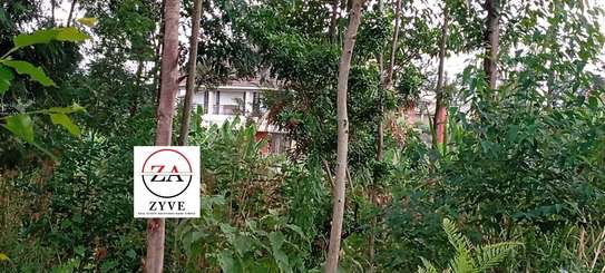 0.125 ac Land at Kasphat Estate image 11