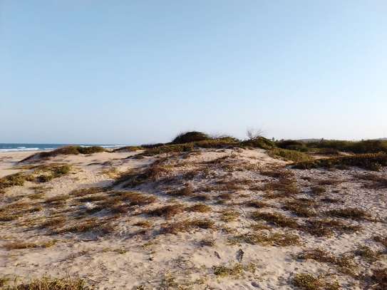 6 Acres beachfront land  for sale in Mambrui,Malindi image 3