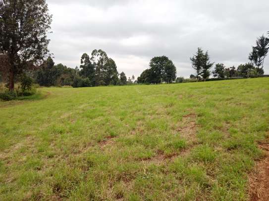 Land in Redhill image 9