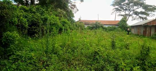 Prime Residential plot for sale in kikuyu, ondiri image 7