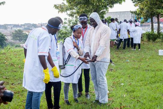 Pest Control and Fumigation Services Muthaiga image 6