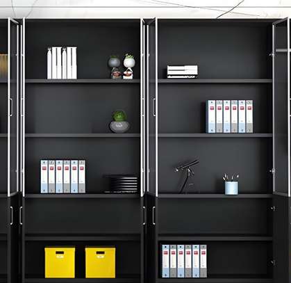 Officecabinet; 2 Door Reinforced Support Base Offcie Cabinet image 6