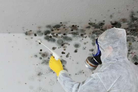 Professional Mould Removal Services in Nairobi image 8