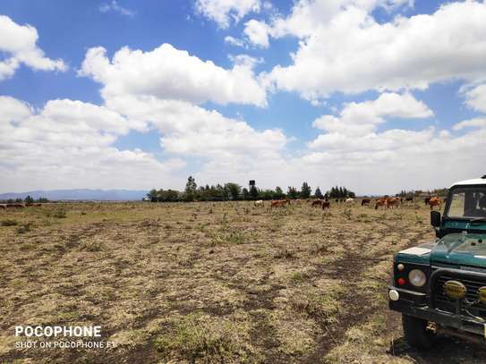 3 Prime Acres in Masaai Lodge Rongai Is Available For Sale image 3