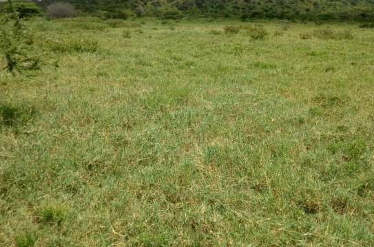 420 Acres Fronting Galana River in Malindi Is for Sale image 3