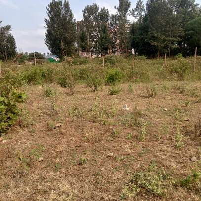 Kenol 40*80ft commercial plots for sale in Muranga county image 1