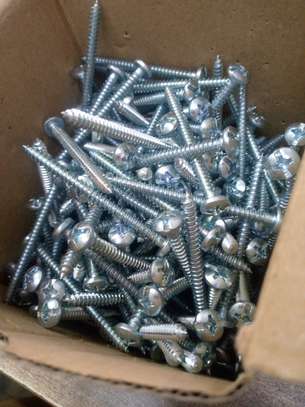 Stainless Steel Self Tapping Screws image 3