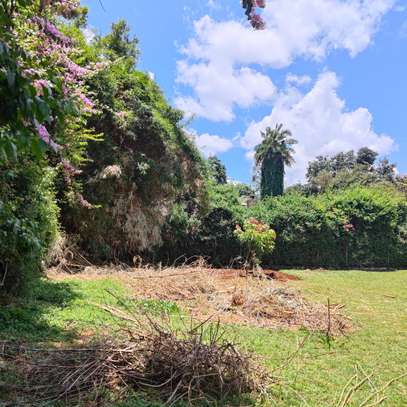 0.5 ac Land at Rosslyn image 10