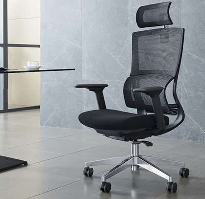 Office Chair: Orthopedic Mesh Seat image 1