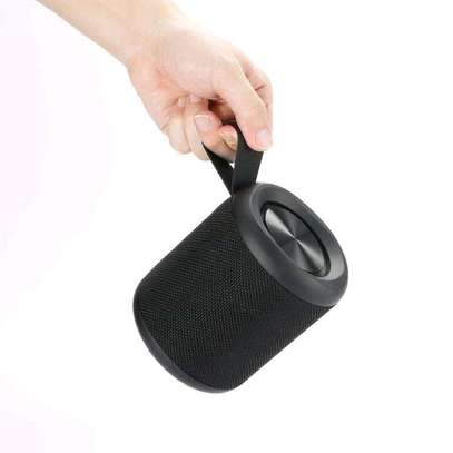 RBT-H20 30W Portable Bluetooth Speaker image 1
