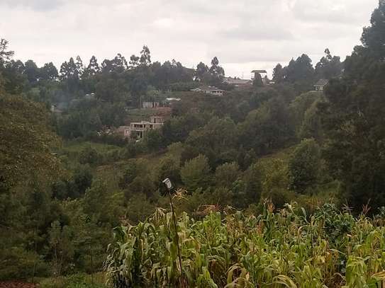 Beautiful One Eighth plots in Ngong image 4