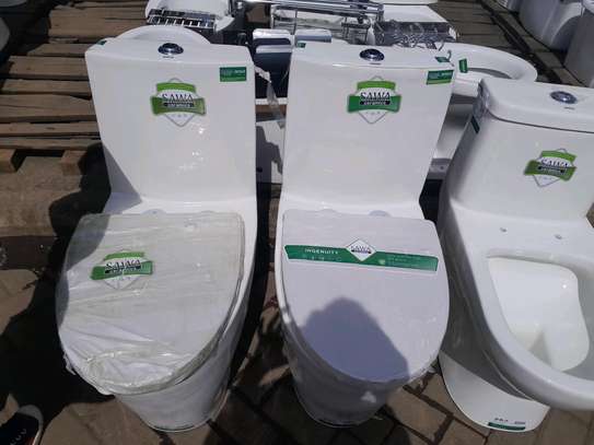 One  body sawa toilets image 1