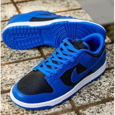 Nike SB low cut
37-45
 with extra laces image 2
