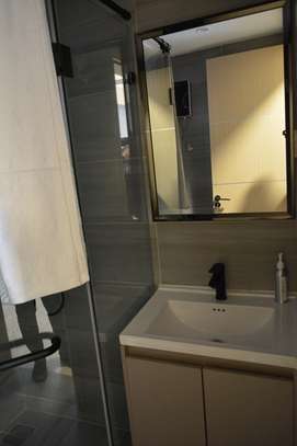 Furnished 2-Bedroom Apartment – For Rent image 8