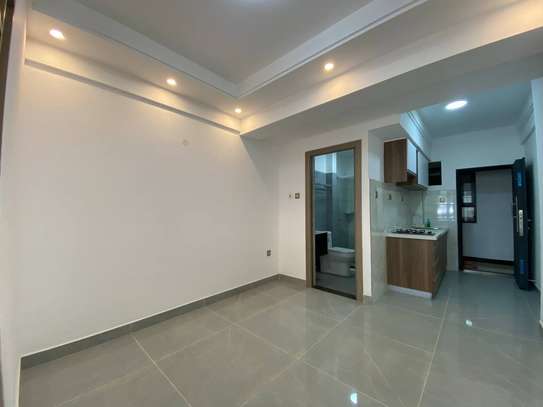 Studio Apartment with En Suite in Lavington image 2