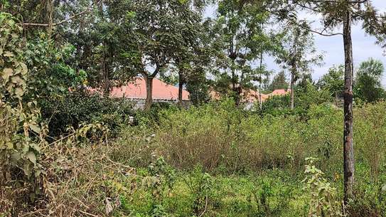 Plot For Sale - Matasia image 2