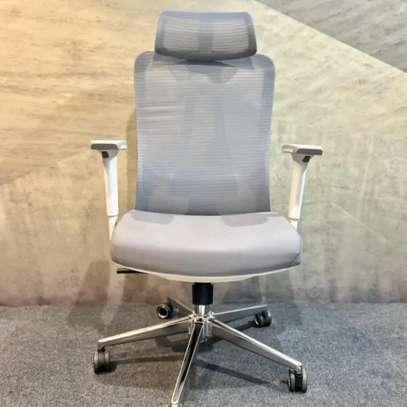 High Back Chair: Orthopedic Executive Chair image 9