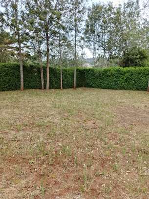Beautiful one eighth plots in Ngong image 4