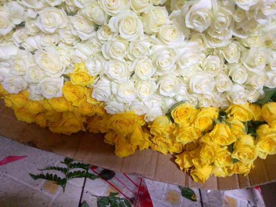 White and yellow roses image 2