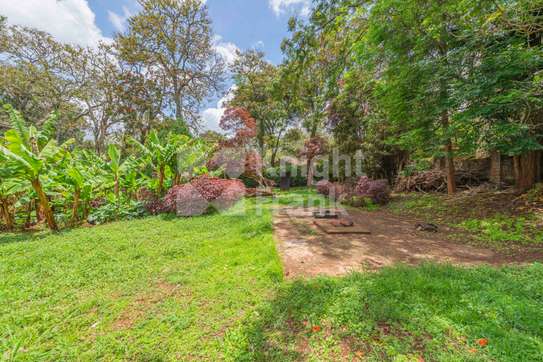 0.5 ac Land in Rosslyn image 14